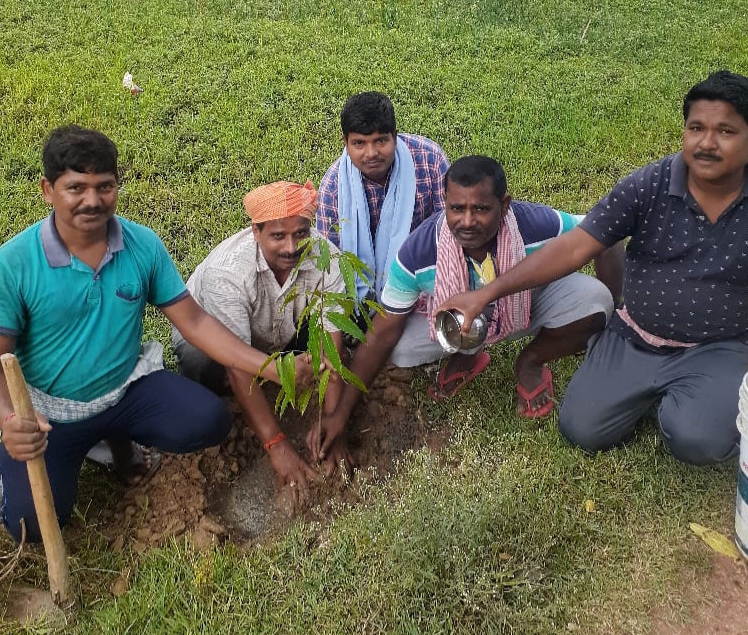 भारत स्वभिमान एवं युवा भारत के सदस्यो द्वारा विश्व पर्यावरण दिवस  के अवसर पर वृक्षारोपण