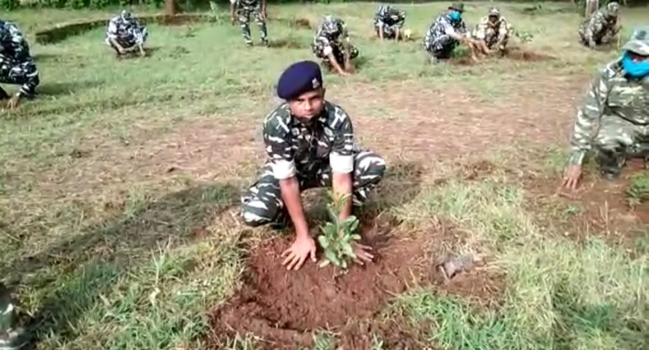 सीआरपीएफ द्वारा बटिया में 1200 फलदार पेड़ लगाए गए
