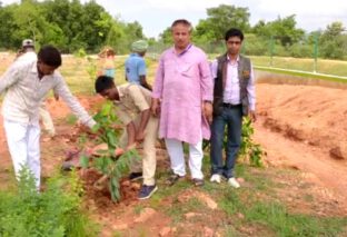 पृथ्वी दिवस के अवसर पर दादपुर में भाजपा नेता सुरेंद्र प्रसाद यादव द्वारा वृक्षारोपण