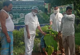 सोनो प्रखंड के विभिन्न गांव में पृथ्वी दिवस के उपलक्ष पर सैकड़ों फलदार पौधे लगाए गए