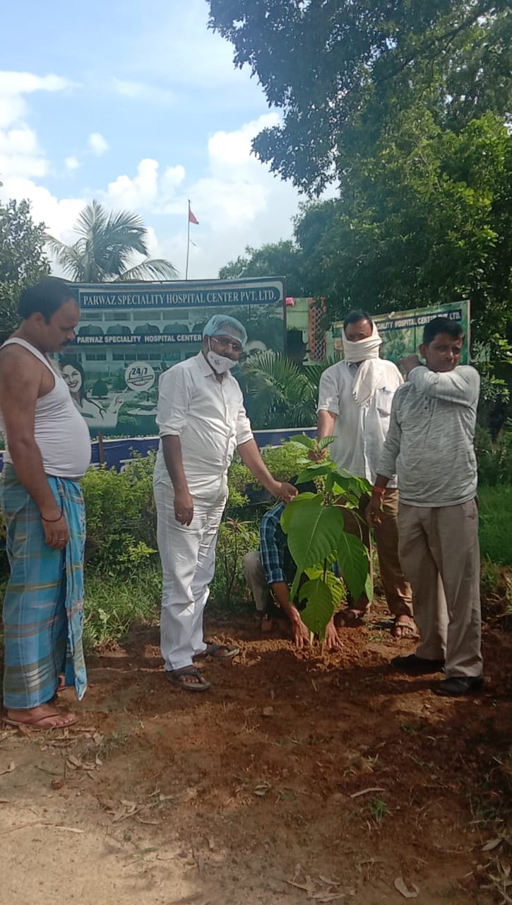 सोनो प्रखंड के विभिन्न गांव में पृथ्वी दिवस के उपलक्ष पर सैकड़ों फलदार पौधे लगाए गए