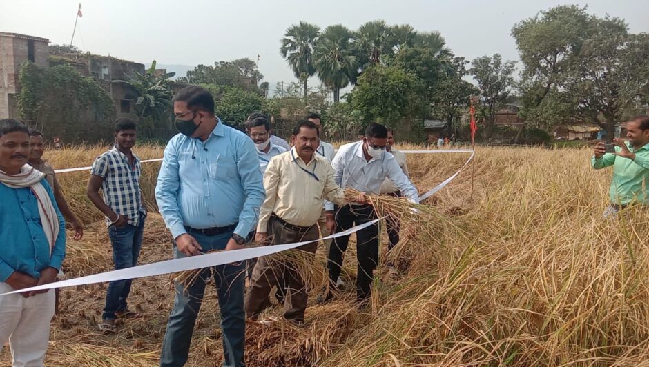 जमुई, खैरा प्रखंड के अमारी पंचायत के  डूमरकोला  ग्राम में किसान बीमा योजना के अंतर्गत अगहनी धान कटनी प्रयोग का किया गया निरीक्षण