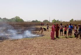 पिडरौन गांव के बहियार मे अचानक आग लगने से हजारों रूपये मूल्य का लाहर जलकर राख