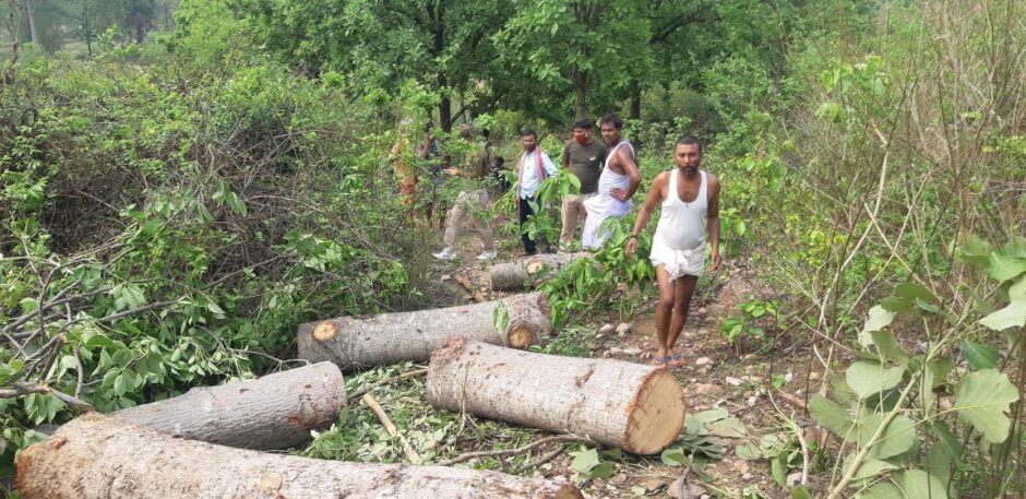 वन विभाग का हरा वृक्ष काटकर ट्रैक्टर में कर रहा था लोड , ग्रामीण खदेड़ते हुऐ पहुंच गये वन माफिया के घर