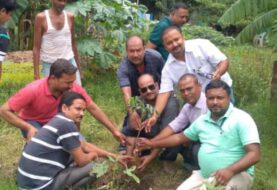 जल जीवन हरियाली कार्यक्रम को ध्यान में रखते हुए ग्लोबल कायस्थ कॉन्फ्रेंस ने किया पौधारोपण