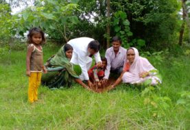 सामाजिक कार्यकर्ता और जनप्रतिनिधियों ने किया पौधारोपण