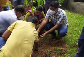 बिहार पृथ्वी दिवस के अवसर पर प्रखंड मुख्यालय में वृक्षारोपण किया गया