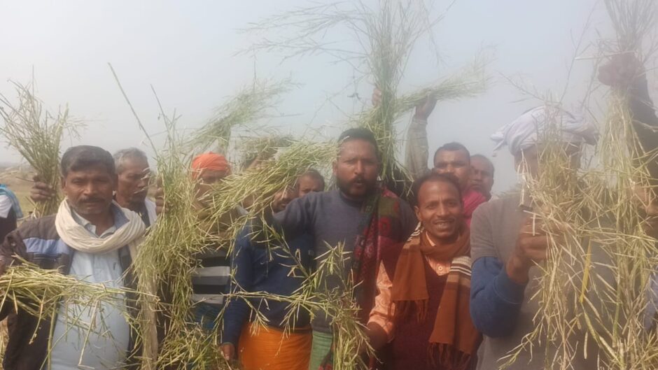 दर्जनों किसानों ने ओलावृष्टि से नष्ट हुई फसलों को ले अंचलाधिकारी को दिया आवेदन, मुआवजे का किया मांग