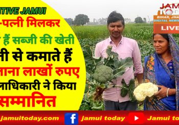 Video: पति-पत्नी मिलकर करते हैं सब्जी की खेती, सालाना कमाते हैं लाखों
