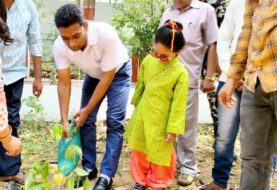 विश्व पर्यावरण दिवस पर डीएम ने किया वृक्षारोपण