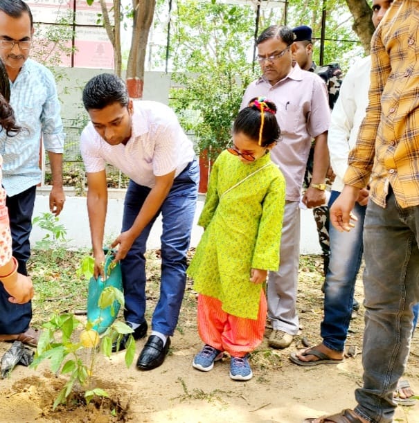 विश्व पर्यावरण दिवस पर डीएम ने किया वृक्षारोपण