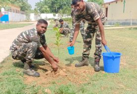 विश्व पर्यावरण दिवस पर एसएसबी के जवानों ने किया पौधारोपण