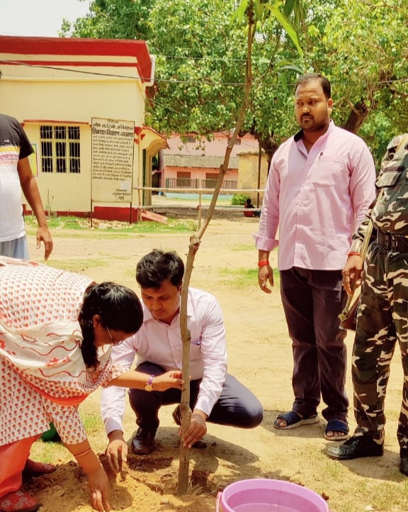 विश्व पर्यावरण दिवस के मौके पर अनुमंडल पदाधिकारी ने कार्यालय परिसर में किया वृक्षारोपण