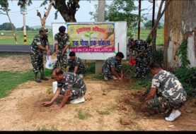 सीआरपीएफ के जवानों ने बरहट कैंप परिसर में किया वृक्षारोपण