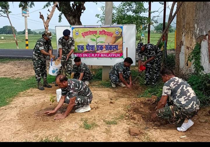 सीआरपीएफ के जवानों ने बरहट कैंप परिसर में किया वृक्षारोपण