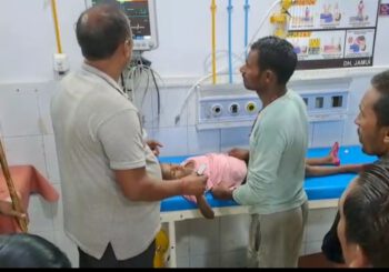 चीनवेरिया गांव में सांप काटने से 7 वर्षीय बच्ची की हुई मौत, पांच भाइयों के बीच एक मात्र थी बहन
