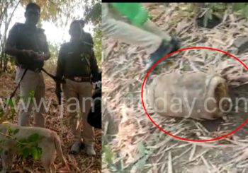 खोजी कुत्ते के सहारे पुलिस ने फुला हुआ जावामहुआ बरामद कर किया नष्ट