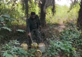 800 किलो फुला हुआ जावामहुआ को पुलिस ने किया विनिष्ट