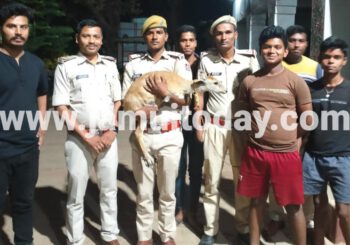 पानी की तलाश में हिरण का बच्चा जंगल से निकलकर पहुंच गया लक्ष्मीपुर गांव