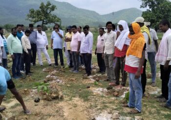 वन महोत्सव के उपलक्ष पर जनप्रतिनिधियों ने किया पौधारोपण