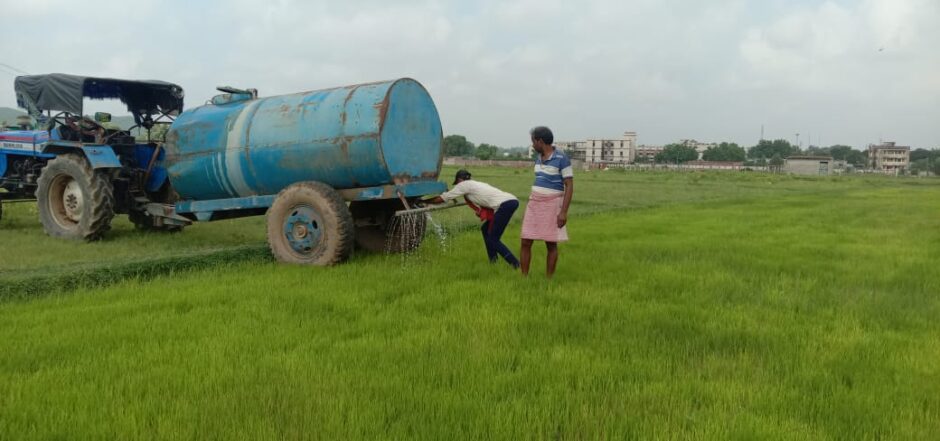 टैंकर की पानी सहारे धान का बिचड़ा, बचाने में जुटे किसान