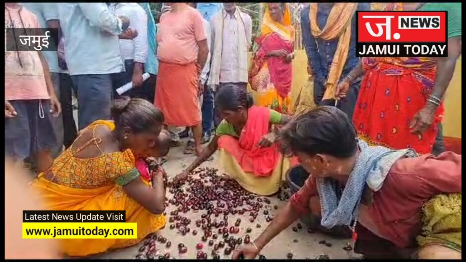 आदिवासी महिलाओं पर पुलिस के जवान का हनक, सड़क किनारे जामुन बेच रही महिला की टोकरी को सड़क पर फेंका