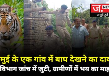Video: जमुई के इस गांव में दिखा बाघ, जांच में जुटा वन विभाग
