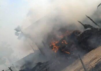 भीषण अगलगी में घरेलू जानवर जिंदा जलकर हुए राख