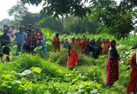 नाबालिग युवती ने फांसी लगाकर की आत्महत्या