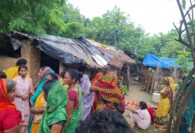 सांप के डंसने से 15 वर्षीय किशोर की मौत, शेखपुरा ले जाने के दौरान रास्ते में तोड़ा दम