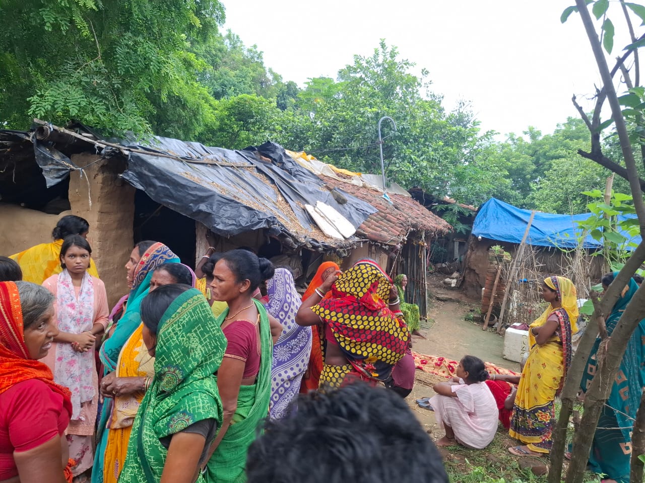 सांप के डंसने से 15 वर्षीय किशोर की मौत, शेखपुरा ले जाने के दौरान रास्ते में तोड़ा दम
