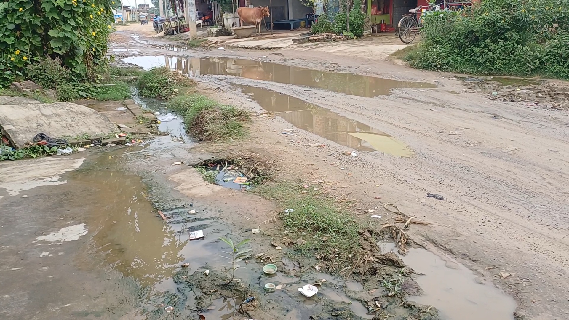 नाला टूटने से मुख्य सड़क जलमग्न, राहगीरों की बढ़ी परेशानी