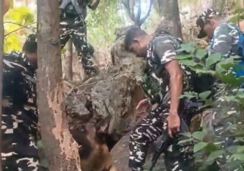 SSB की बड़ी कार्रवाई: मनियारा जंगल में सुरंगनुमा ठिकाने से 4 अवैध हथियार और 22 जिंदा कारतूस बरामद